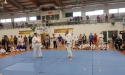 54519739_2087429208214124_2656947896942854144_n