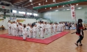 55622765_2087411908215854_744647058819907584_n